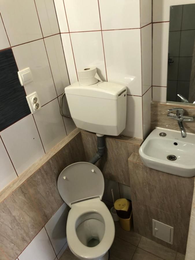 Гостевой дом Villa Maria S Сибиу-23