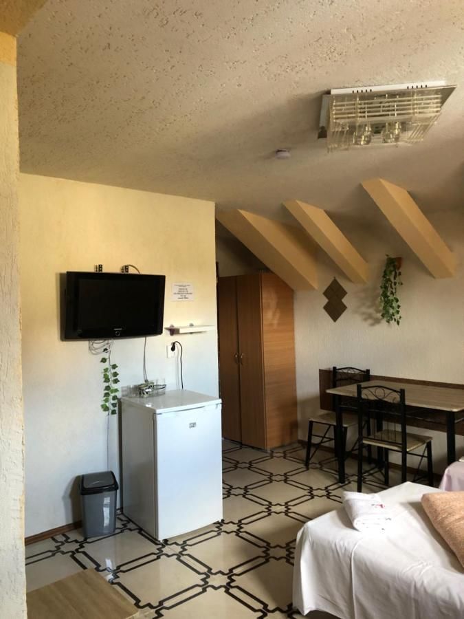 Гостевой дом Villa Maria S Сибиу-29