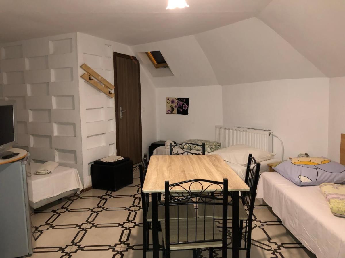 Гостевой дом Villa Maria S Сибиу-36