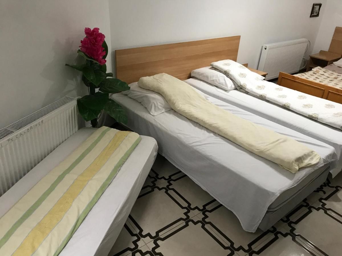 Гостевой дом Villa Maria S Сибиу-44