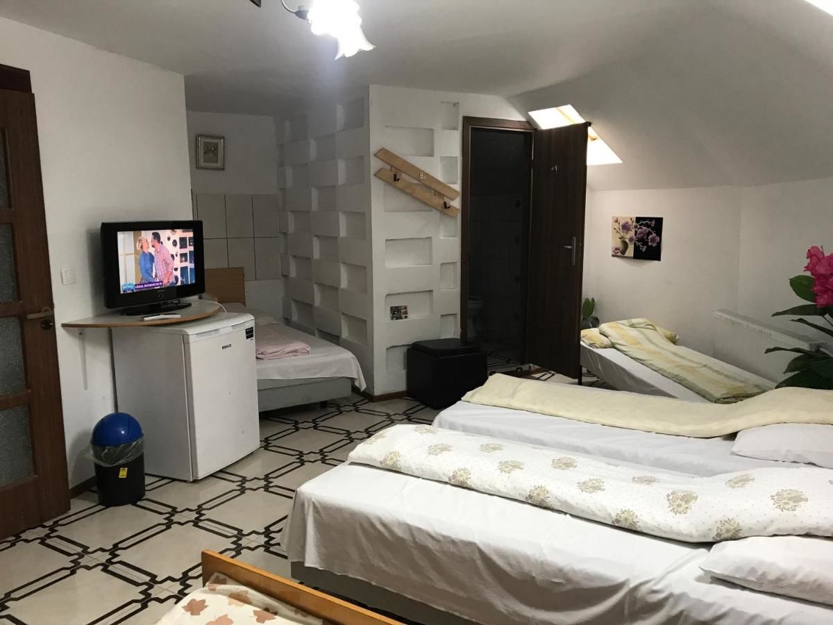 Гостевой дом Villa Maria S Сибиу-47