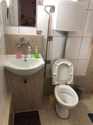 Гостевой дом Villa Maria S Сибиу Двухместный номер эконом-класса с 2 отдельными кроватями-6