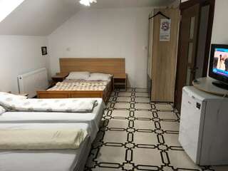 Гостевой дом Villa Maria S Сибиу Семейный номер с ванной комнатой-5