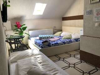 Гостевой дом Villa Maria S Сибиу Двухместный номер с 1 кроватью-4