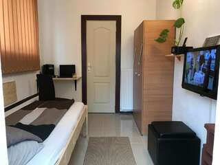 Гостевой дом Villa Maria S Сибиу Одноместный номер-11