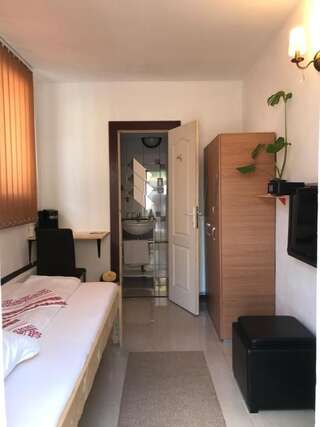 Гостевой дом Villa Maria S Сибиу Одноместный номер-12