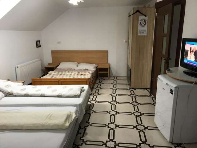 Гостевой дом Villa Maria S Сибиу-42