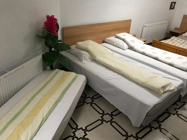 Гостевой дом Villa Maria S Сибиу-43